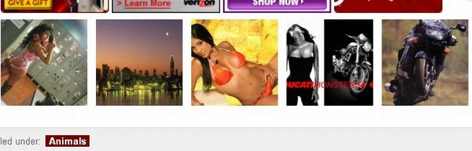screenshot-2